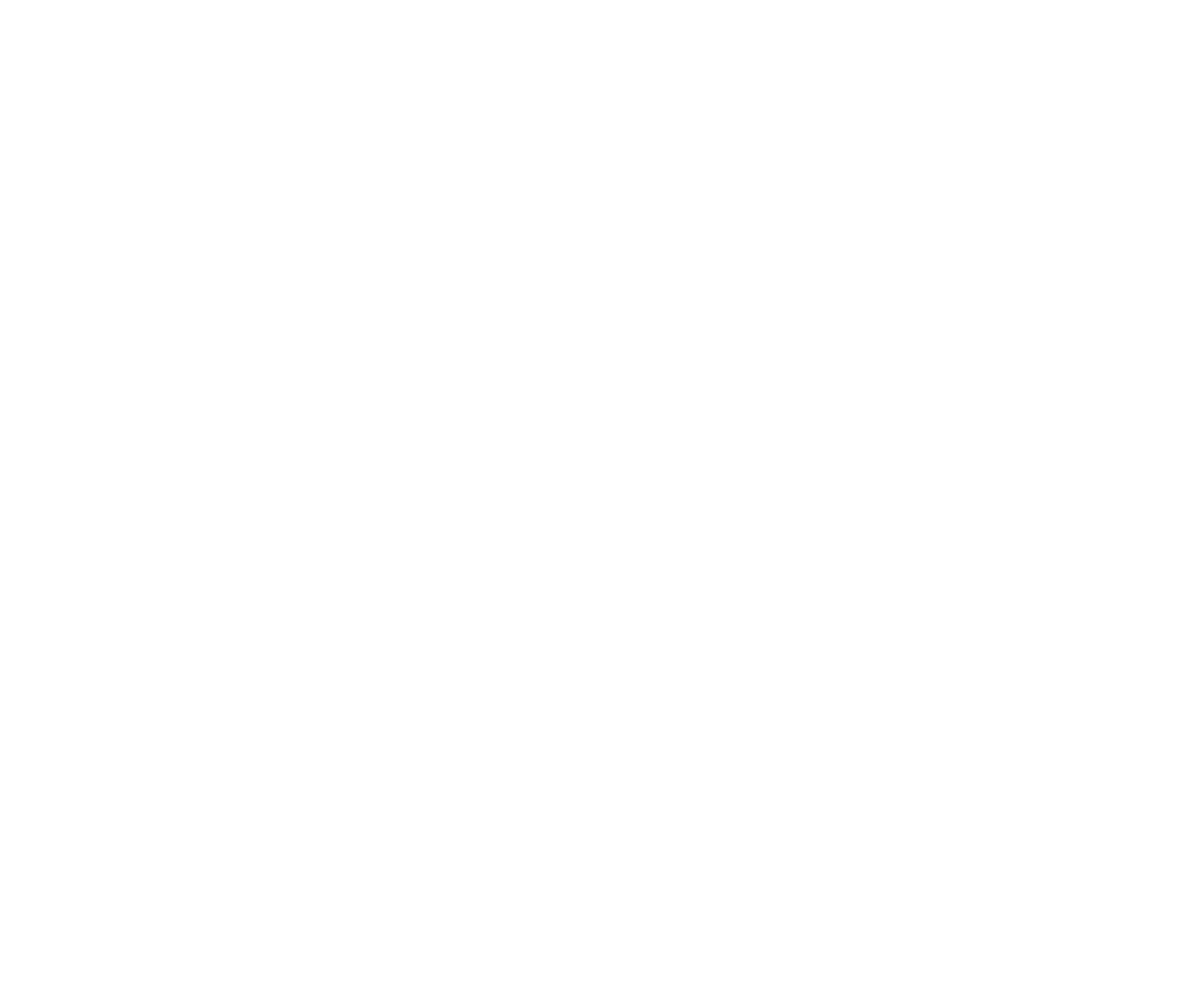 Palmer Marine logo